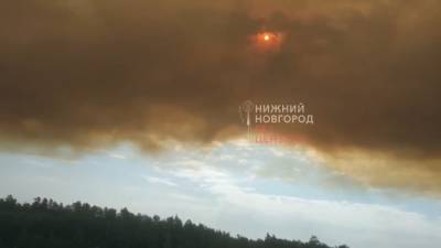 Пожар в Мордовском заповеднике перешел на территорию Сарова