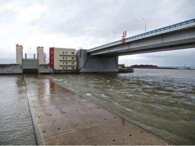 В Петербурге произошло антинаводнение — Финский залив сильно обмелел (видео)