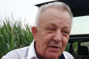 Под Тернополем экс-мэр воровал лук на чужом огороде