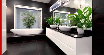 Необычное решение: семь лучших растений для ванной комнаты