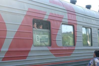 Врачи оценили состояние 87 детей, отравившихся в поезде Мурманск — Адлер