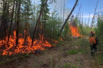 Глава Якутии поручил вырубить леса вокруг поселков, чтобы избежать пожаров