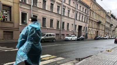 Месячная норма осадков выпала в Петербурге за первую неделю августа