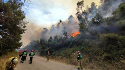 В Греции украинские пожарные спасли два населенных пункта