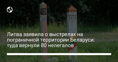 Литва заявила о выстрелах на пограничной территории Беларуси: туда вернули 80 нелегалов