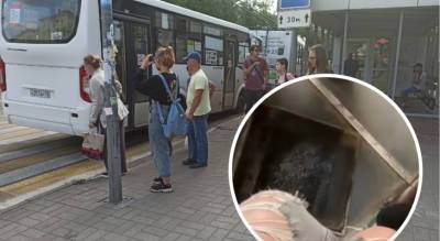 «Упала лицом в пол»: в Ярославле два человека пострадали в общественном транспорте