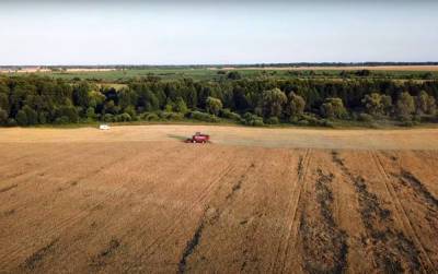 Рынок земли в Украине: средняя цена на гектар поднялась до 27 тысяч гривен - в каких областях дают больше всего