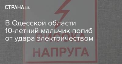 В Одесской области 10-летний мальчик погиб от удара электричеством