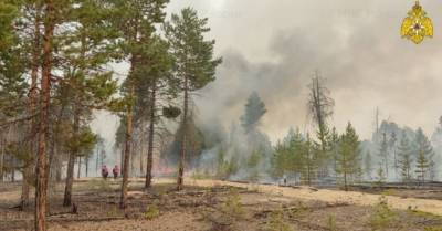 Лесные пожары в Якутии: дым впервые в истории человечества достиг Северного полюса (ФОТО)