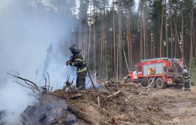 Почти 900 человек и два пожарных поезда привлекли к тушению огня в мордовском заповеднике