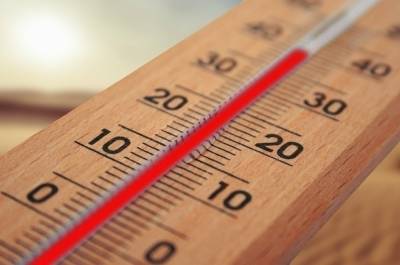 В нескольких российских регионах прогнозируют аномальную жару