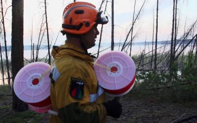 Власти Якутии опровергли сообщения о вырубке лесов из-за пожаров