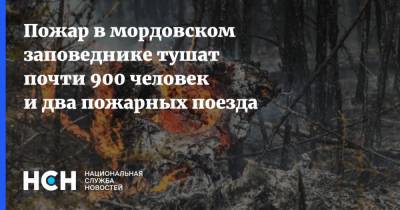 Пожар в мордовском заповеднике тушат почти 900 человек и два пожарных поезда