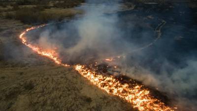 К тушению пожара в мордовском заповеднике привлекли два пожарных поезда