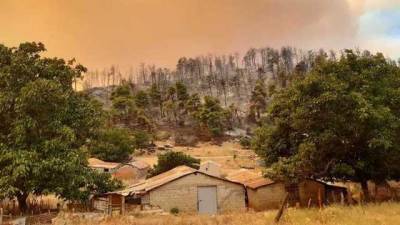 В Греции мощные пожары уничтожили сотни домов: небо стало красным