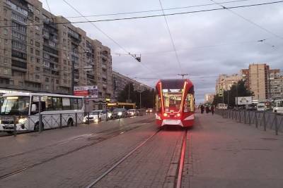 Трамваи на севере Петербурга изменят маршруты в начале недели