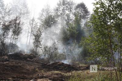 Чрезвычайная пожароопасность лесов сохранится в Нижегородской области до 11 августа