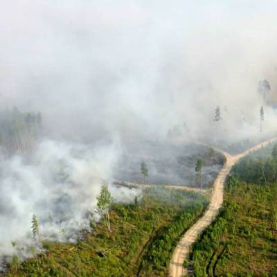 Леса горят в Башкирии