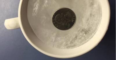 Зачем нужно класть монету в холодильник, надолго покидая дом