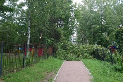 Шквалистый ветер переломал деревья в Петербурге