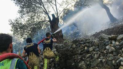 В Турции заявили об отсутствии представляющих угрозу городам лесных пожаров