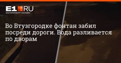 Во Втузгородке фонтан забил посреди дороги. Вода разливается по дворам