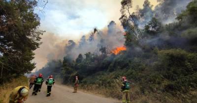 "Проработано 2250 метров": украинские пожарные тушат пожары в Греции (фото)