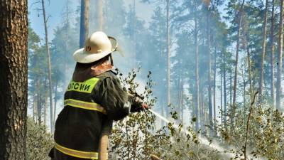 В Минобороны рассказали о ходе тушения пожара в заповеднике в Мордовии