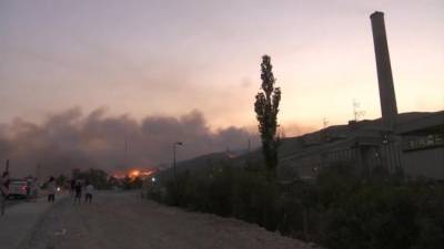 Пожары в Турции больше не угрожают населенным пунктам, заявили власти