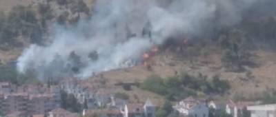 В Черногории подожгли лес, огонь добрался до жилых домов столицы: видео