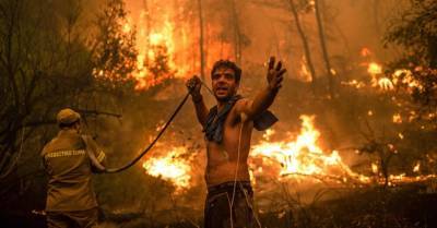 Лесные пожары: в Греции эвакуировали жителей острова Эвбея