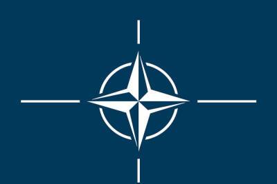 СМИ: глава МИД Латвии допустил возникновение инцидента между Россией и НАТО