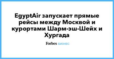 EgyptAir запускает прямые рейсы между Москвой и курортами Шарм-эш-Шейх и Хургада