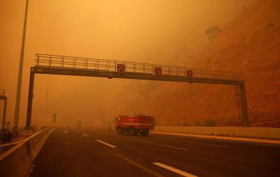 Власти Греции продлили до 13 августа запрет на посещение лесов из-за пожаров