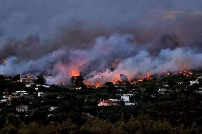 В Греции за десять дней сгорело более 56 тыс. гектаров леса