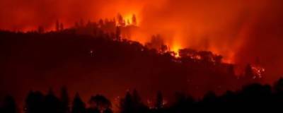 В Калифорнии во время лесных пожаров пропали восемь человек