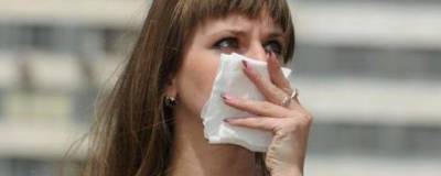 Новосибирцы годами страдают от смрадного запаха