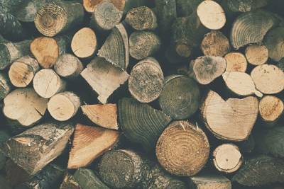 В Бурятии установили тариф на дрова для граждан