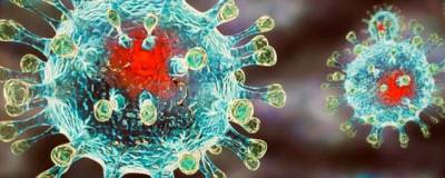 Британский учёный считает, что вспышки коронавируса будут возникать раз в пять лет