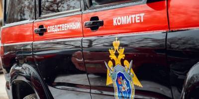 Нетрезвый житель Тульской области застрелил двухлетнюю девочку из ружья
