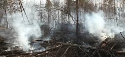 В семи районах Приангарья ввели режим ЧС из-за лесных пожаров - runews24.ru - Киренск - Братск - Илимск - район Приангарья