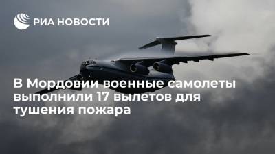 Военные самолеты выполнили 17 вылетов для тушения лесных пожаров в Мордовском заповеднике