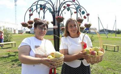 В тюменском селе на грант облагородили парк с яблонями
