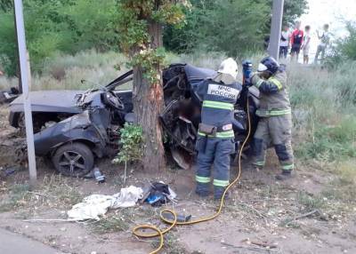 В Ахтубинске водитель иномарки влетел в дерево и погиб