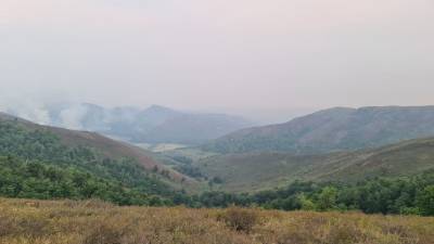 В Башкирии зарегистрировано ещё 10 очагов лесных пожаров
