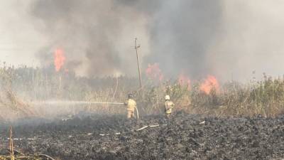 Пожарный поезд прибыл на тушение природного возгорания в Мордовии