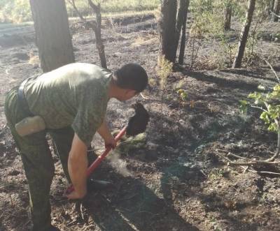 Возле Ульяновска из-за непотушенного костра загорелся лес