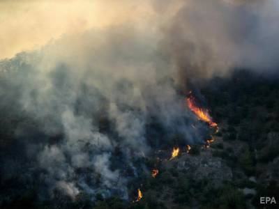 В Турции загорелся лес в районе международного аэропорта