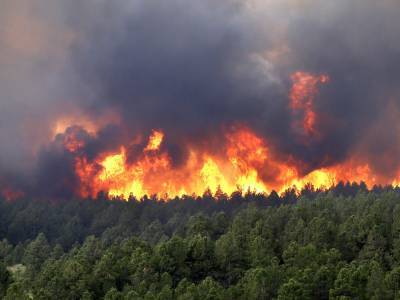В Башкирии зарегистрировали 10 лесных пожаров