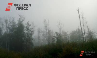 Челябинскую область накрыл дым от пожаров в Якутии